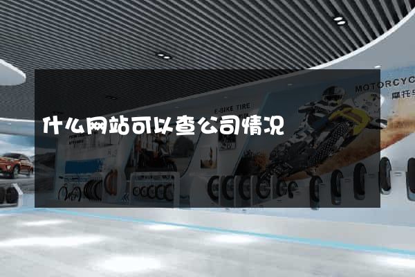 什么网站可以查公司情况