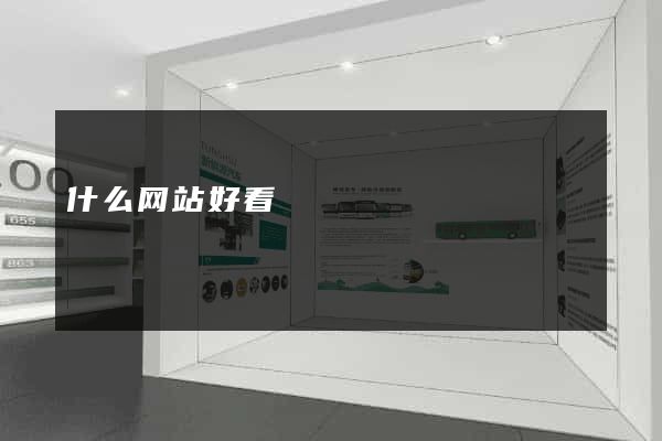 什么网站好看