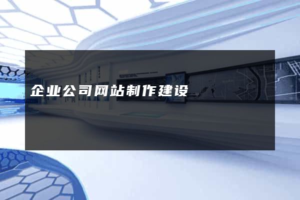 企业公司网站制作建设