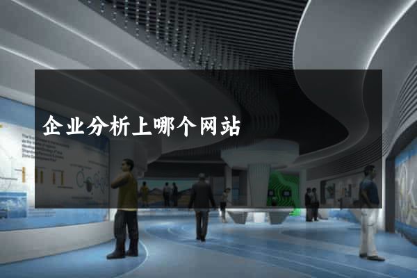 企业分析上哪个网站