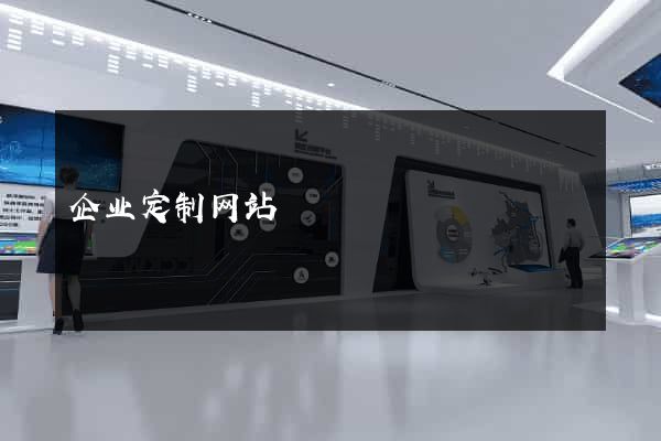 企业定制网站