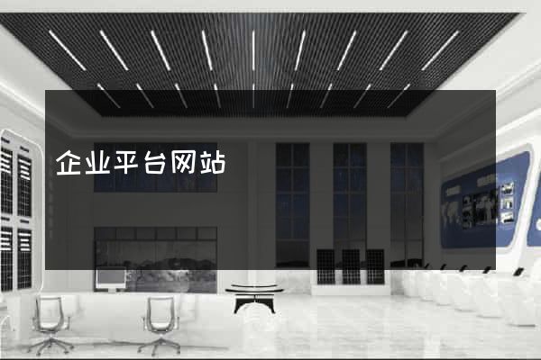 企业平台网站