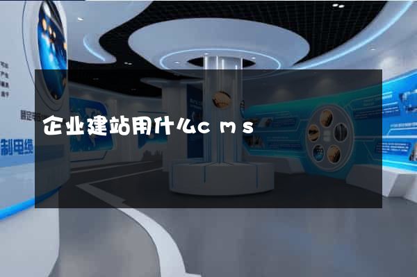 企业建站用什么cms