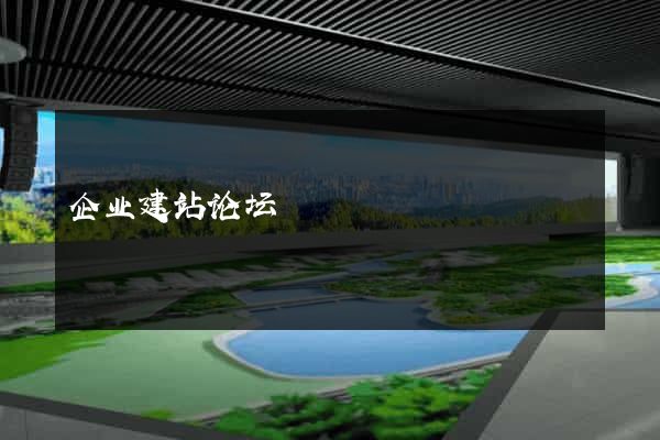 企业建站论坛