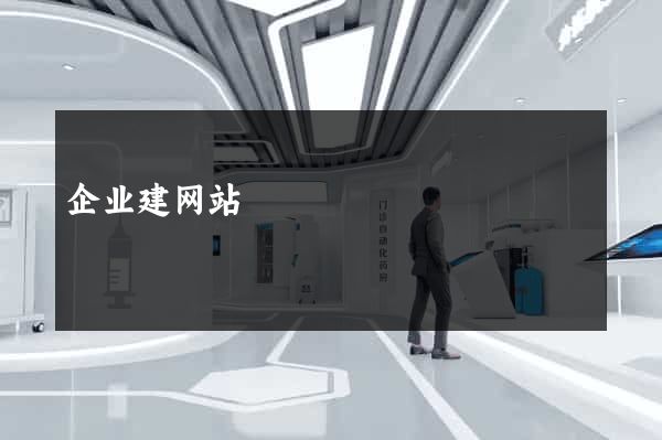 企业建网站