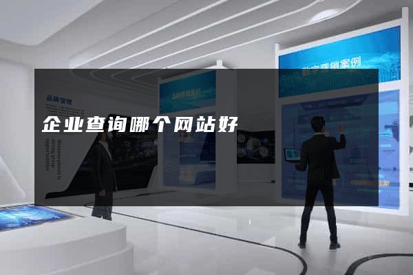 企业查询哪个网站好
