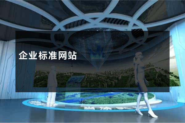 企业标准网站