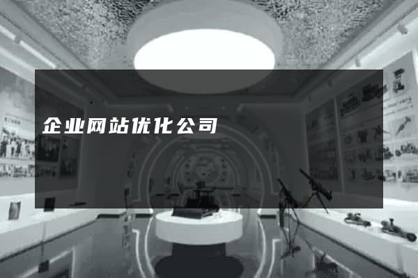企业网站优化公司