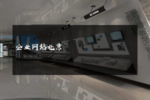 企业网站北京
