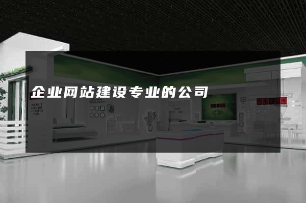 企业网站建设专业的公司