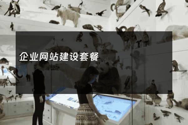 企业网站建设套餐