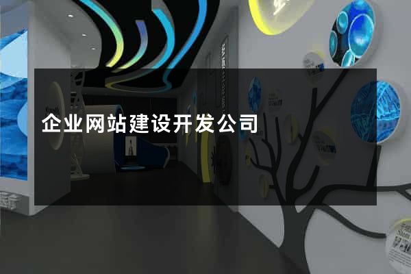 企业网站建设开发公司