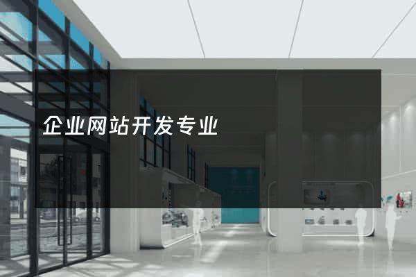 企业网站开发专业