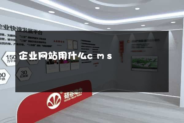 企业网站用什么cms