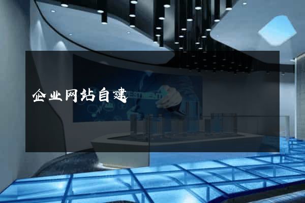 企业网站自建