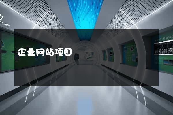 企业网站项目