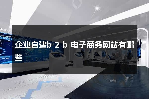 企业自建b2b电子商务网站有哪些