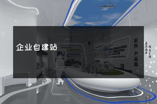 企业自建站