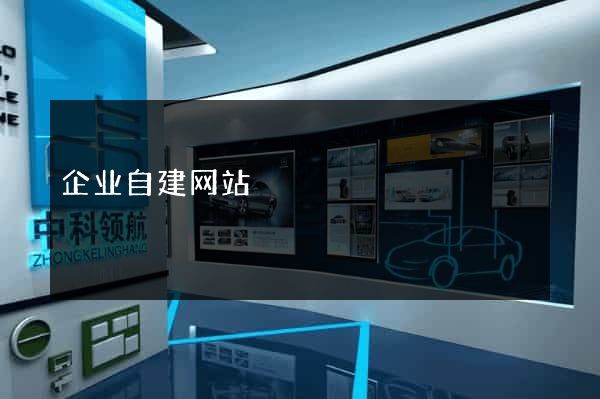 企业自建网站