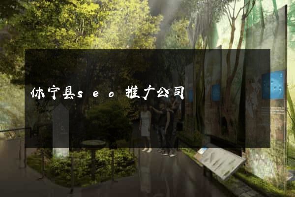 休宁县seo推广公司