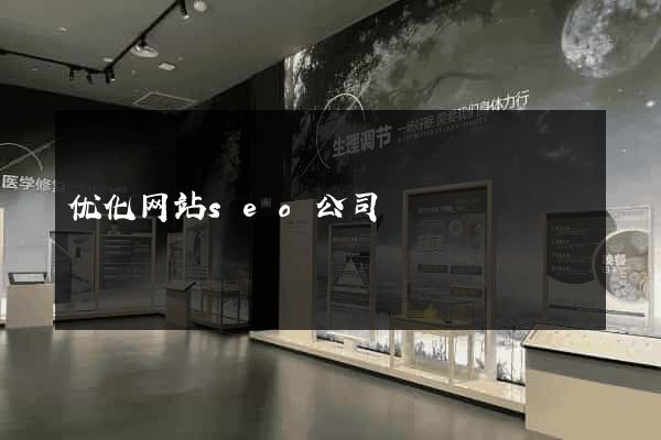 优化网站seo公司