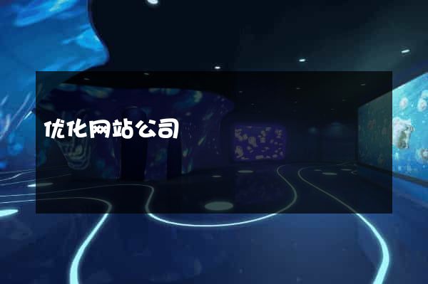 优化网站公司