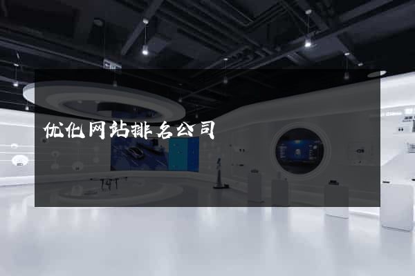 优化网站排名公司