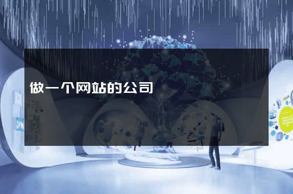 做一个网站的公司