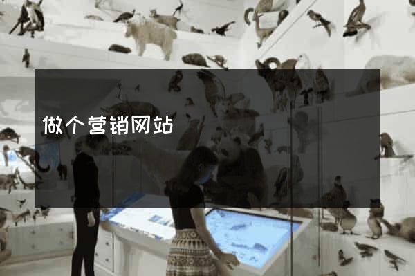 做个营销网站