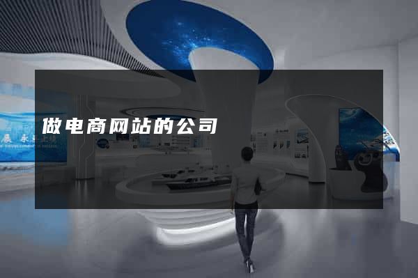 做电商网站的公司