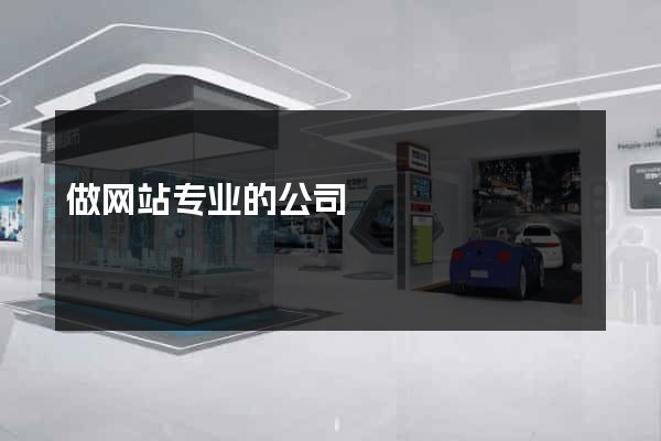 做网站专业的公司