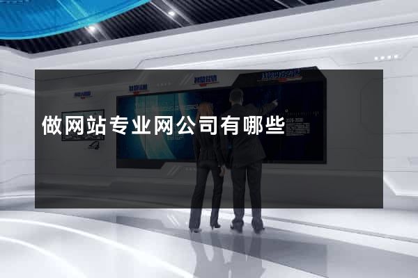 做网站专业网公司有哪些