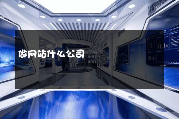 做网站什么公司