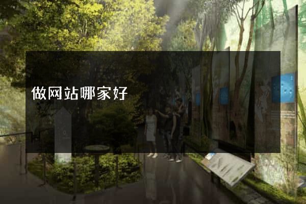 做网站哪家好