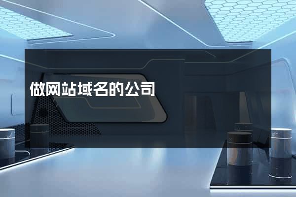 做网站域名的公司