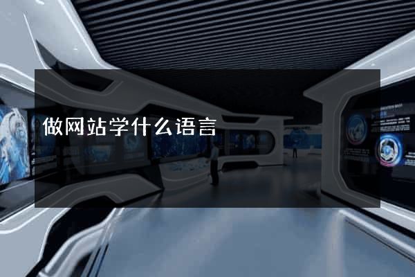 做网站学什么语言