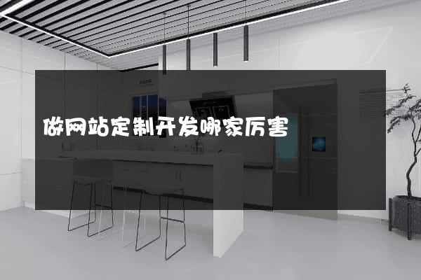 做网站定制开发哪家厉害