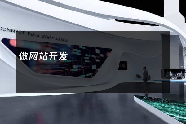 做网站开发
