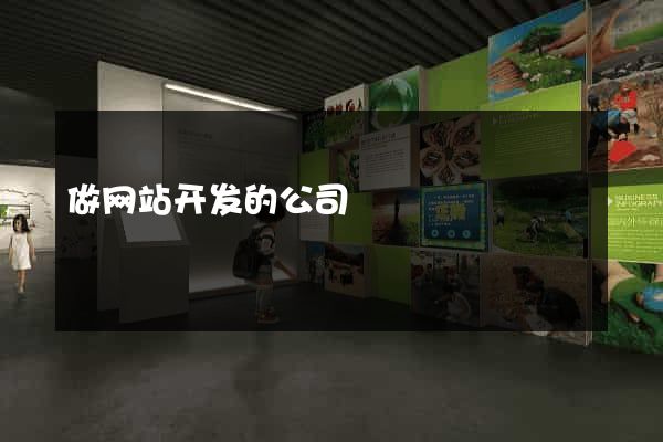 做网站开发的公司