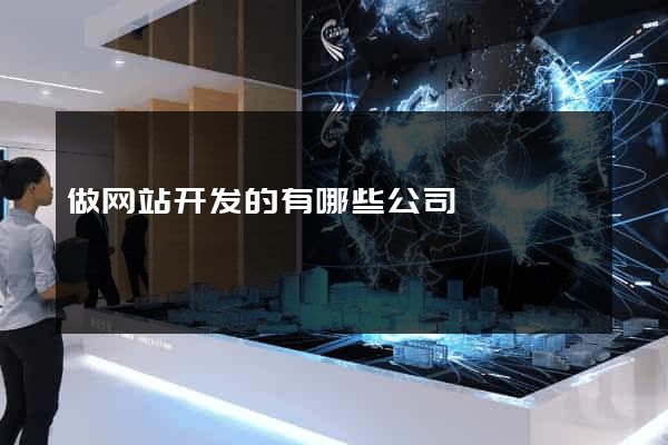 做网站开发的有哪些公司