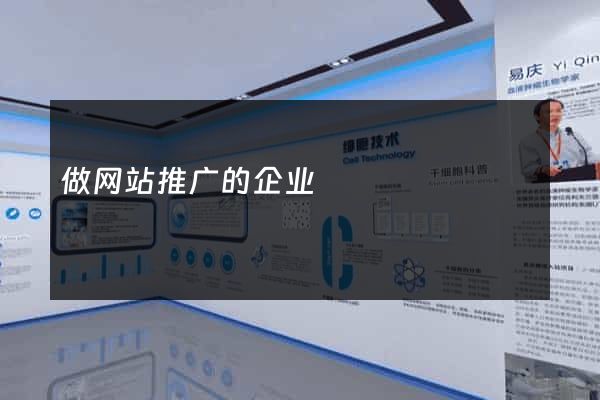 做网站推广的企业
