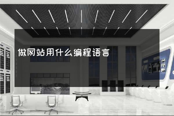 做网站用什么编程语言