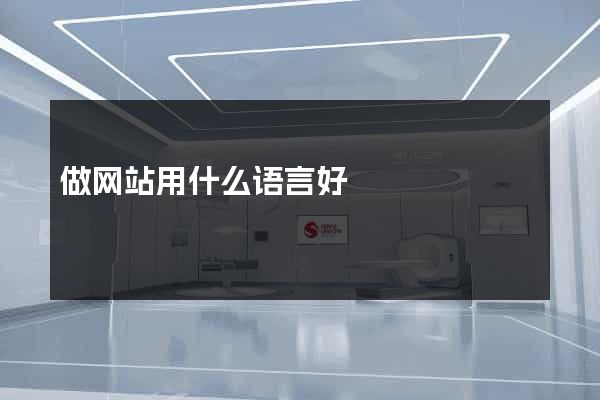 做网站用什么语言好