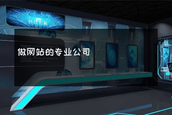 做网站的专业公司