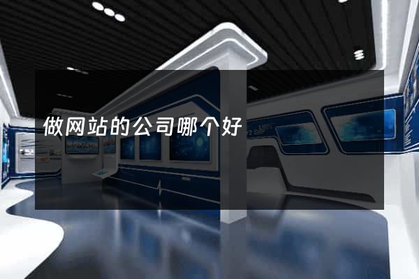 做网站的公司哪个好
