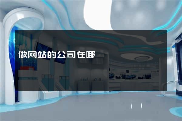 做网站的公司在哪