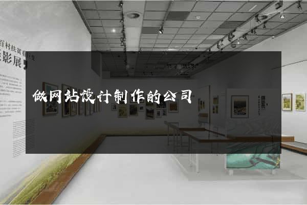做网站设计制作的公司