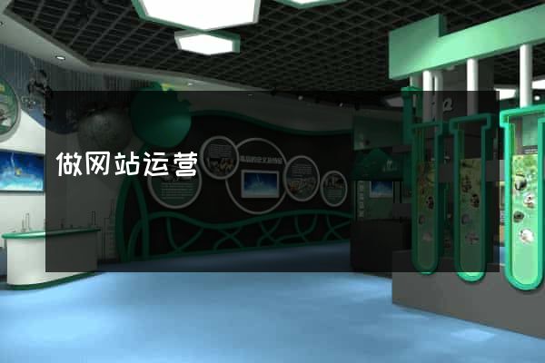 做网站运营