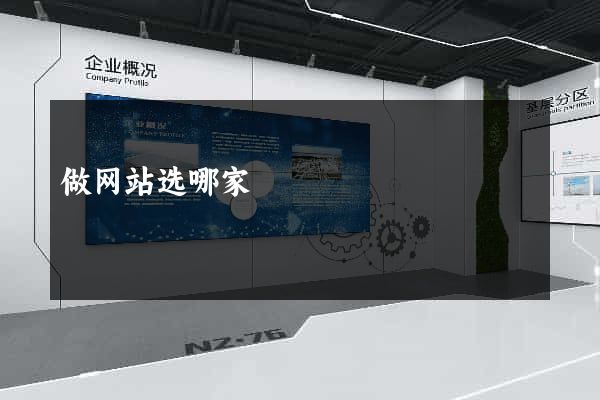 做网站选哪家