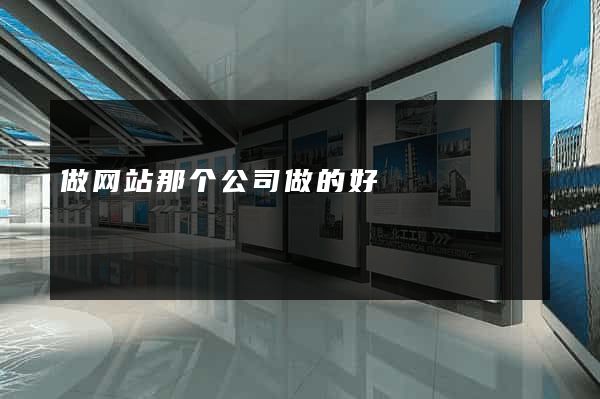 做网站那个公司做的好